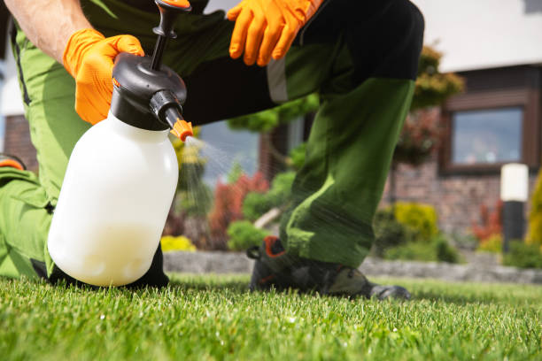  El Reno, OK Pest Control Pros