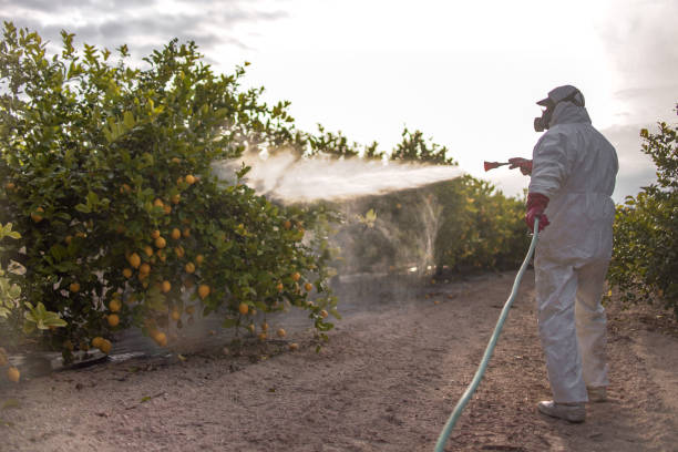 Best Affordable Pest Control Services  in El Reno, OK