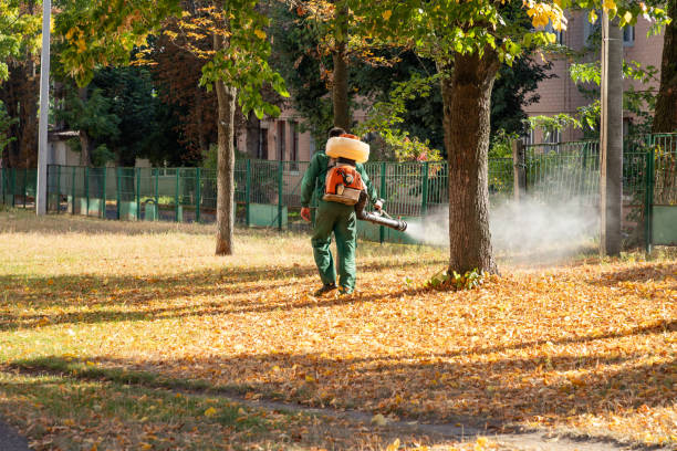Reliable El Reno, OK Pest Control Solutions