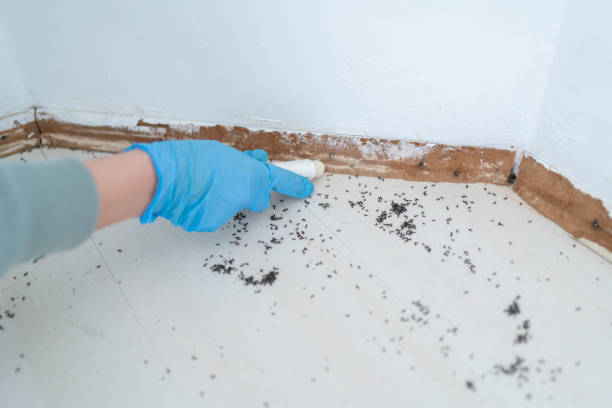 Best Pest Prevention Services  in El Reno, OK