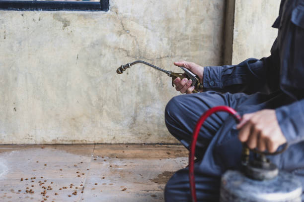 Best Exterminator Services  in El Reno, OK